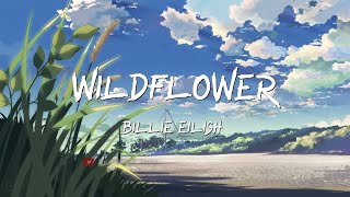 Billie Eilish  WILDFLOWER Lyric Mix Video  BeatBlend Jams [upl. by Daveda368]