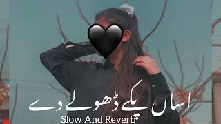 Asan Paky Dholy Dy  Slow and Reverb   Tahir Neyyer   Sraiki Song   Music Girl [upl. by Annawad]