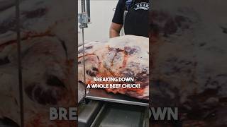 Breaking down an entire Beef Chuck 🔪 shorts beef [upl. by Pardew]