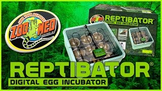 Zoo Med ReptiBator® Digital Egg Incubator [upl. by Adnuahsal]