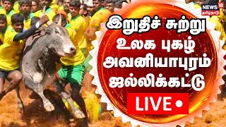 🔴LIVE உலக புகழ் அவனியாபுரம் ஜல்லிக்கட்டு  இறுதிச் சுற்று நேரலை  Avaniyapuram Jallikattu 2024 [upl. by Ahsino]