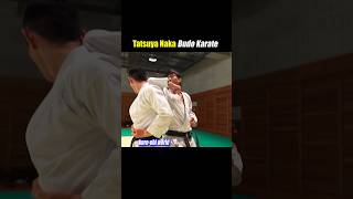 Spinning elbow strike【Budo Karate】 [upl. by Selwin762]