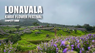 LONAVALA Karvi Flower Festival  Flowers Bloom After 7 Years  Lonavala Vlog [upl. by Anaejer599]