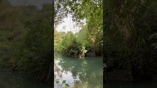 Día de Pesca en Río Blanco  Nacimiento de agua y Paisaje  Falla Técnica [upl. by Ruggiero]