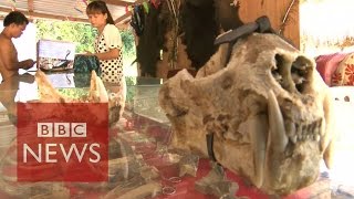 Undercover in Myanmars Sin city where anything goes  BBC News [upl. by Wynne]