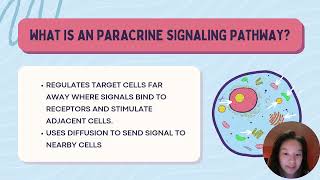 14 Paracrine Signaling Pathway [upl. by Thomsen]