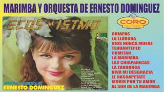 ECOS DEL ITSMO MARIMBA ORQUESTA DE ERNESTO DOMINGUEZ ♪♫ [upl. by Ert]