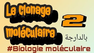 le clonage moléculaire PART II  بالعربية الدارجة [upl. by Ytte]