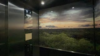 Modded Dover Hydraulic Elevator at Amazonia National Zoo Washington DC [upl. by Sinnod]