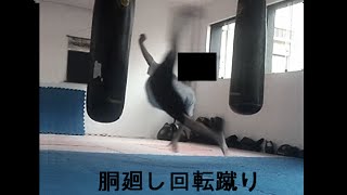 The Power of Do Mawashi Kaiten Geri Kyokushin Wheel Kick  胴廻し回転蹴り [upl. by Nrublim515]