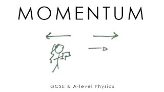 Momentum  GCSE amp Alevel Physics full version [upl. by Starobin]