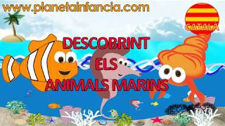 DESCOBRINT ELS ANIMALS MARINS  Videos educatius per a infantil Videos per a nens en català [upl. by Aynat]