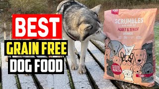 ✅Top 5 Best Grain Free Dog Food in 2024 [upl. by Htebazila]