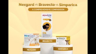 Nexgard vs Bravecto vs Simparica A Comprehensive Comparison [upl. by Mascia]