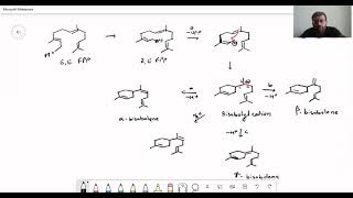 Sesquiterpenes And Diterpenes  Mevalonate Pathway [upl. by Philander803]