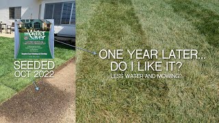 WaterSaver Rhizomatous Tall Fescue 1 Year Review [upl. by Sueahccaz]