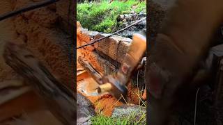 Traditional Tibetan Incense Grinding Process Using Waterwheels [upl. by Hayyifas]