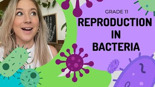 Reproduction in Bacteria  EASY TO UNDERSTAND [upl. by Ursi]