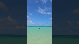 Lanikai Beach shortvideo hawaii happy swim [upl. by Siuoleoj59]