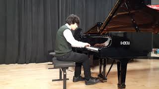 Piano Sonata No 8 in C minor Op 13 Sonata Pathetique 1st movement Beethoven [upl. by Lilly18]