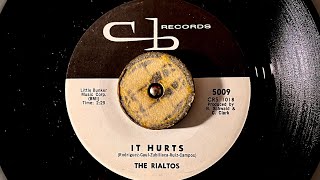 The Rialtos “ It Hurts “ 1964 Bronx New York Doo Wop group Harmony [upl. by Akeylah]