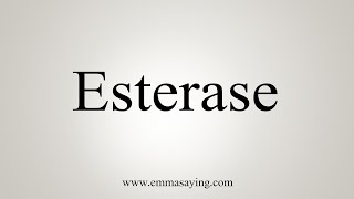 How To Say Esterase [upl. by Mercy]