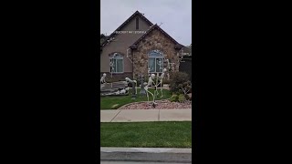 Lifesize skeletons take over Utah neighborhood ahead of Halloween [upl. by Enilarac]