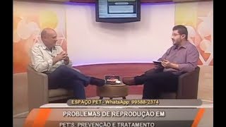 Espaço Pet problemas de reprodução em mascotes [upl. by Rothschild]