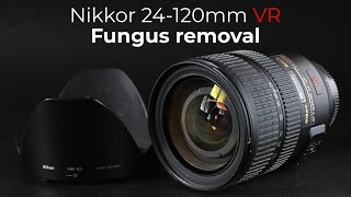 Nikkor 24120mm VR  Fungus cleaning [upl. by Mcgruter]