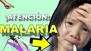 MALARIA🦟 Fisiopatología Síntomas Diagnóstico y Tratamiento EXPLICADO MUY FACIL🤯 [upl. by Nanaek]