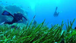 Immersione Isola di Serpentara Serpentara Scuba Diving Sardegna  Xiaomi Xiaoyi Yi4K Plus [upl. by Rednijar]