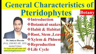 Pteridophytes General Characteristics in Hindi with notes bscbotany 1stsemester pteridophytes [upl. by Wycoff733]