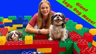 Assistant builds a Giant Lego Dog Maze for Wiggles and Waggles [upl. by Eberle437]