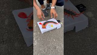 RC Centipede Scolopendra prank 😀 [upl. by Albert]