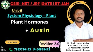 Auxin  Plant Hormones  Quick Revision  Lecture4  Plant Physiology  Unit6 [upl. by Kammerer]