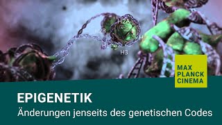 Epigenetik  Änderungen jenseits des genetischen Codes [upl. by Hterag206]