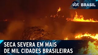 Mais de mil cidades brasileiras sofrem com seca severa e risco de queimadas  SBT Brasil 270724 [upl. by Neirbo147]