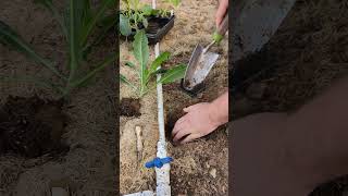 Top 3 Gardening Tools for New Gardeners [upl. by Margaretha]