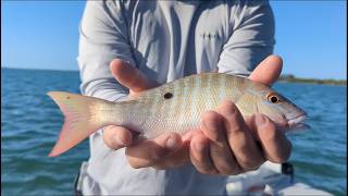 FL Keys Fishing Snappers at Sunset [upl. by Kalmick]