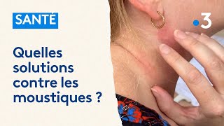 Quelles solutions face à linvasion de moustiques [upl. by Oirasec]