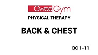 Back amp Chest Exercises for Physical Therapy with the Gwee Gym [upl. by Anirec]