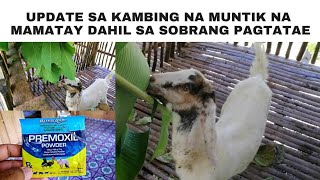 Ano ang mabisang gamot sa malalang pagtatae ng kambing [upl. by Jutta993]