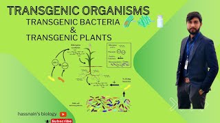 Transgenic products transgenic bacteria and transgenic plants biologistasifsaleem0910 [upl. by Oniotna58]