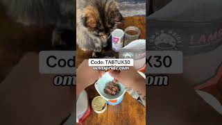 Raw Cat Food Toppers  Raw Cat Food Diet  Raw Cat Feeding  Healthy Cat Food shorts cat catshort [upl. by Ut456]