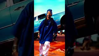 Snoop dogg step with Ai video shorts snoopdogg [upl. by Ihana960]