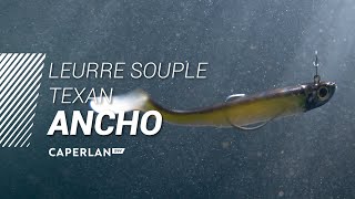 LEURRE SOUPLE ANCHO  CAPERLAN SW [upl. by Adlog]