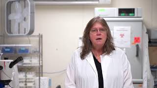 Dr Susan Jarvi tells us about the Parasite rat lungworm disease [upl. by Aerdma388]