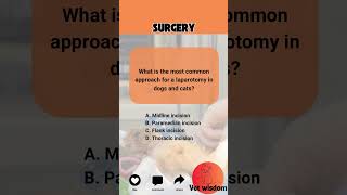 Vet Quiz Most Common Approach for a Laparotomy [upl. by Hardunn417]