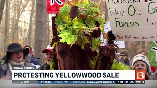 Yellowwood protest in Brown County [upl. by Dnalyag]