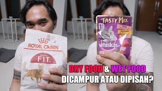 Alasan Gue Kenapa Nggak Mau Mencampurkan Dry Food amp Wet Food [upl. by Yelyak]